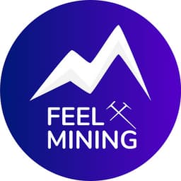 feel-mining